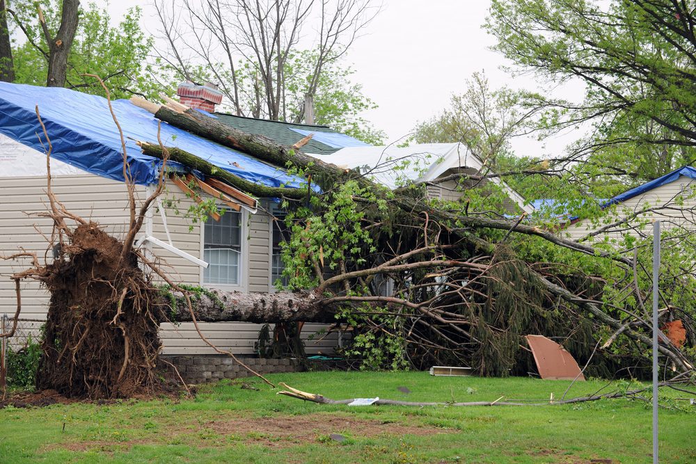 Emergency Tarping